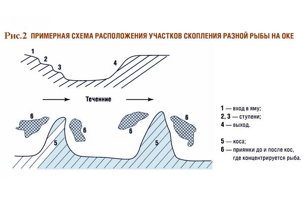 Схема расположения учасков скопления рыбы